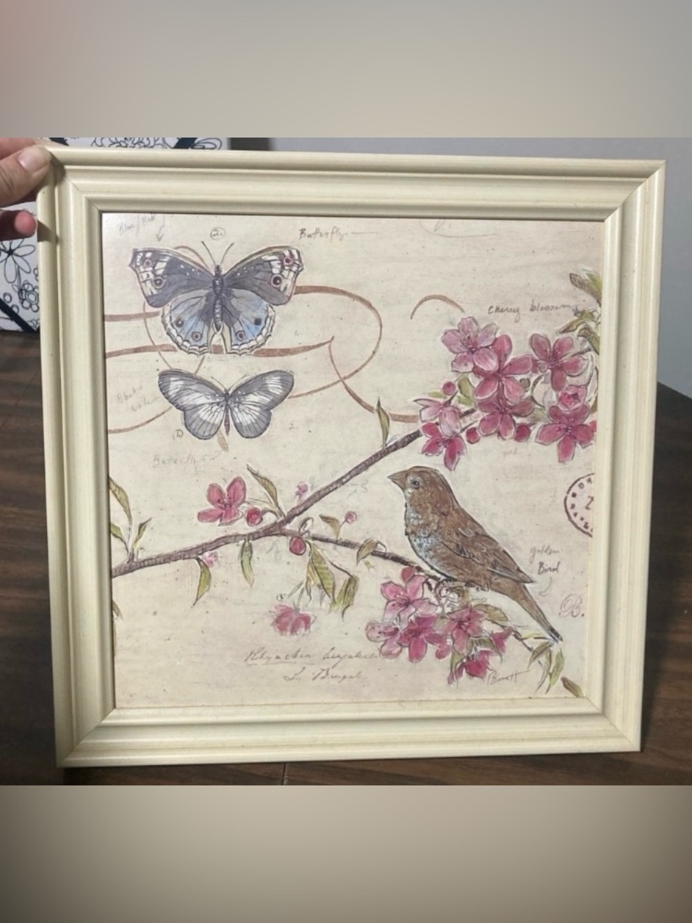 Framed Botanical Bird & Butterfly Wall Art - Cream Frame with Pink Blossoms